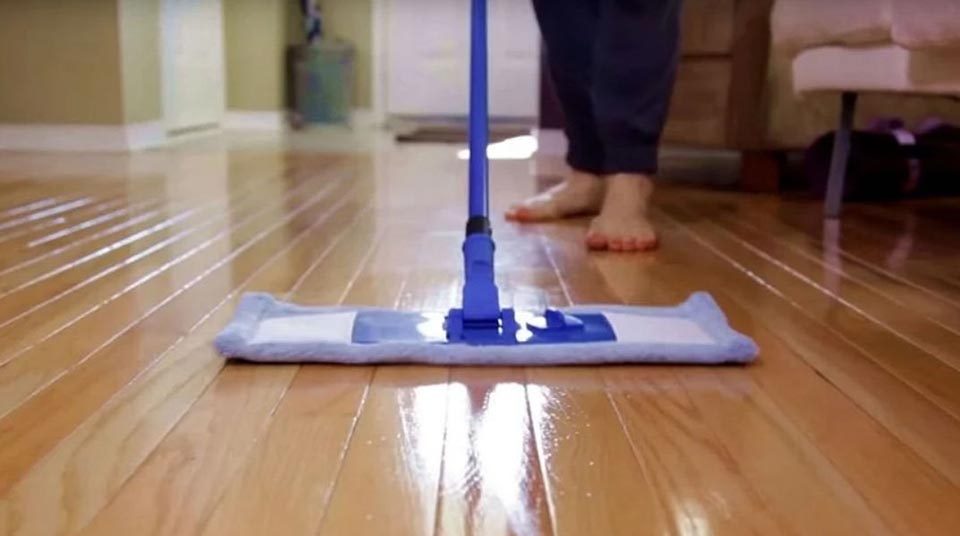 Cách diệt kiến ba khoang hiệu quả - Ảnh 06