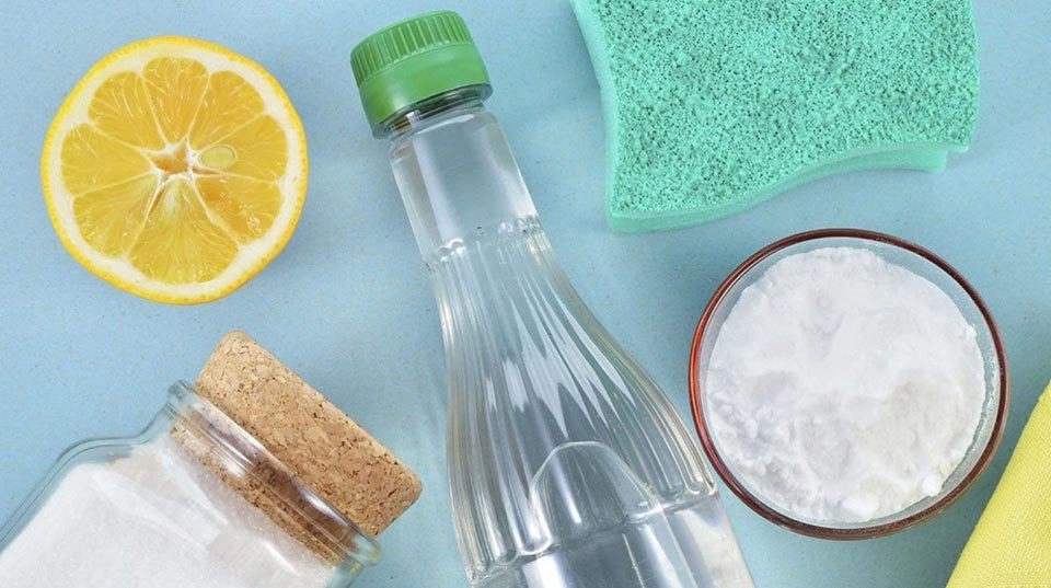 Cách diệt kiến vĩnh viễn - Ảnh 04