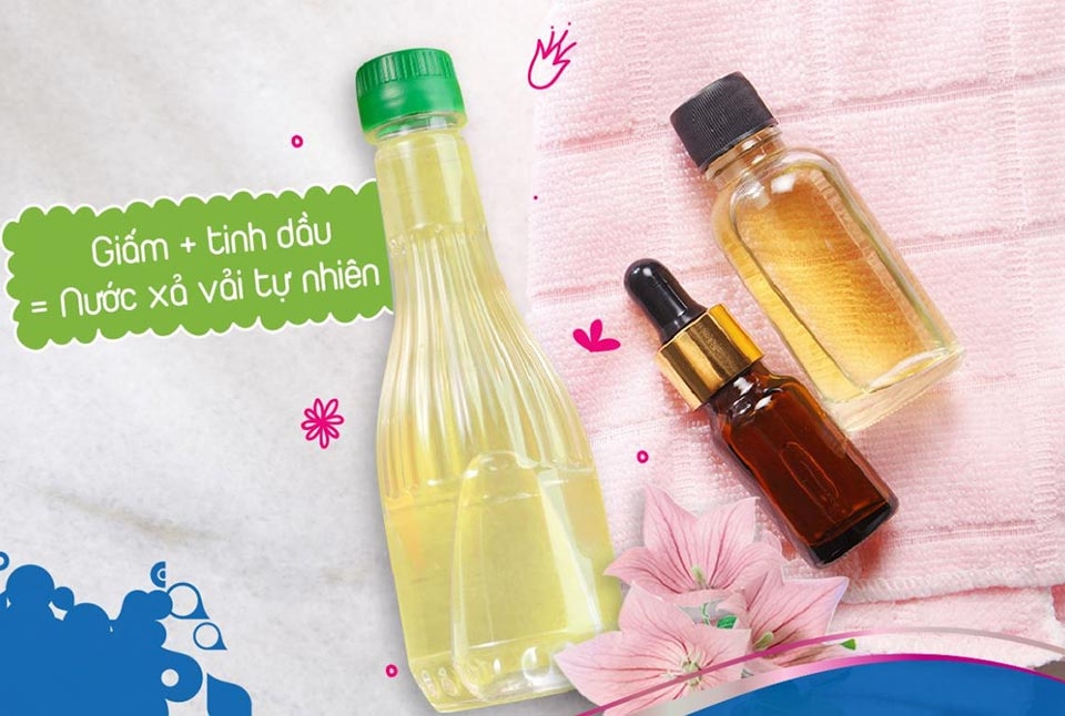 Cách diệt kiến vĩnh viễn - Ảnh 06