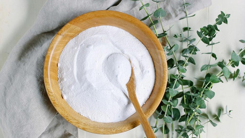 Cách diệt kiến vĩnh viễn - Ảnh 07