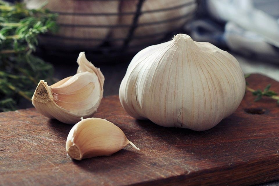 Cách diệt kiến vĩnh viễn - Ảnh 08