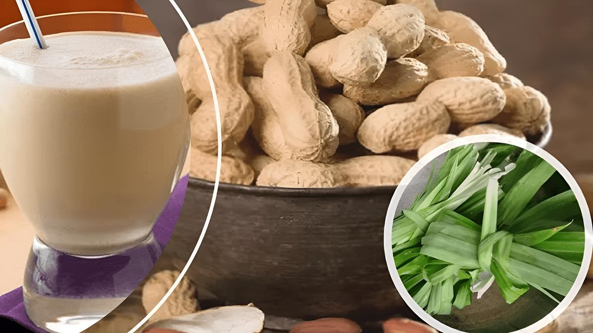 Nấu sữa đậu phộng bằng máy làm sữa hạt - 4