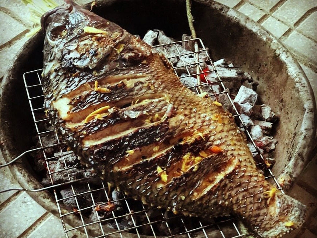 gia vị ướp cá nướng than (ảnh 3)