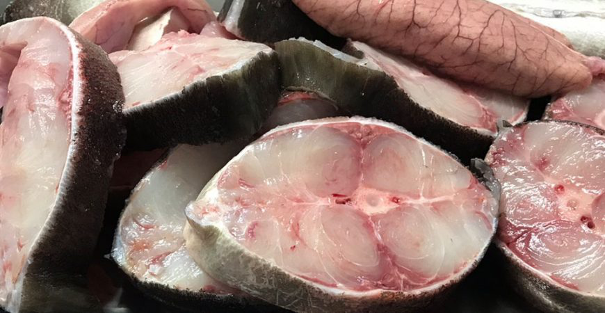 lẩu cá bớp - ảnh 13