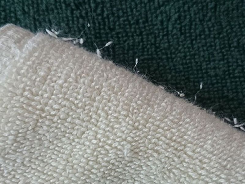 áo bị xù lông 2