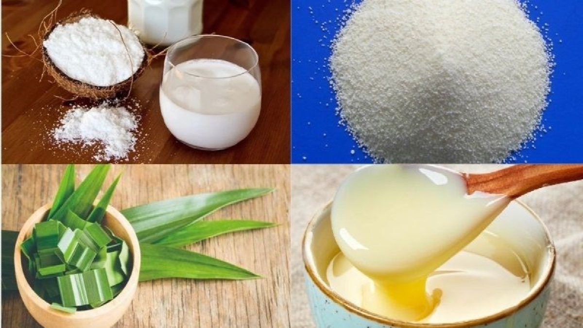 rau câu sơn thủy - hình 1