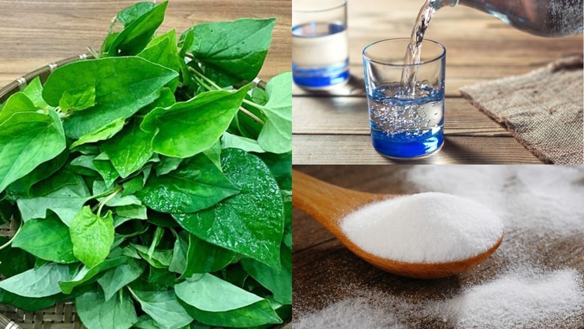 nước rau diếp cá - hình 1