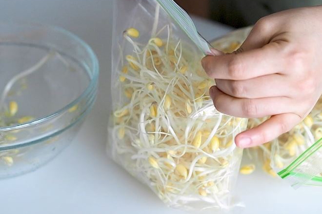 Mẹo hay bảo quản giá đỗ trong tủ lạnh tươi ngon cả tuần