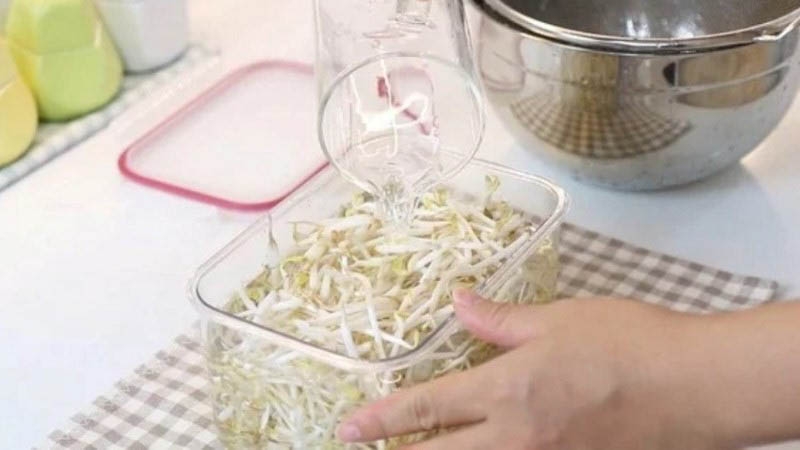 cách bảo quản giá đỗ 3