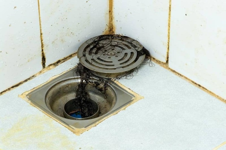 Cách khử mùi hôi cống trong nhà vệ sinh triệt để, nhanh chóng chỉ trong vài bước - Hình 1