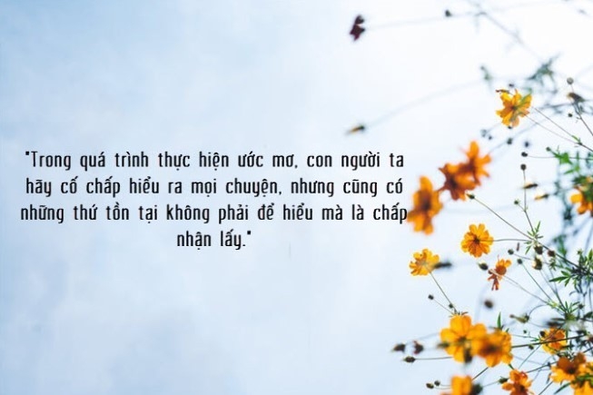 Những câu nói hay về ước mơ - 5