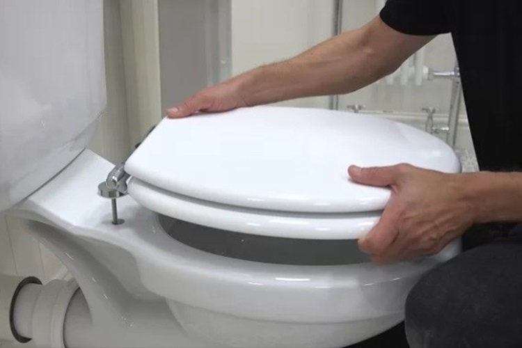 Thay nắp bồn cầu: Hướng dẫn chi tiết từ A-Z, ai cũng có thể thực hiện một cách dễ dàng 1
