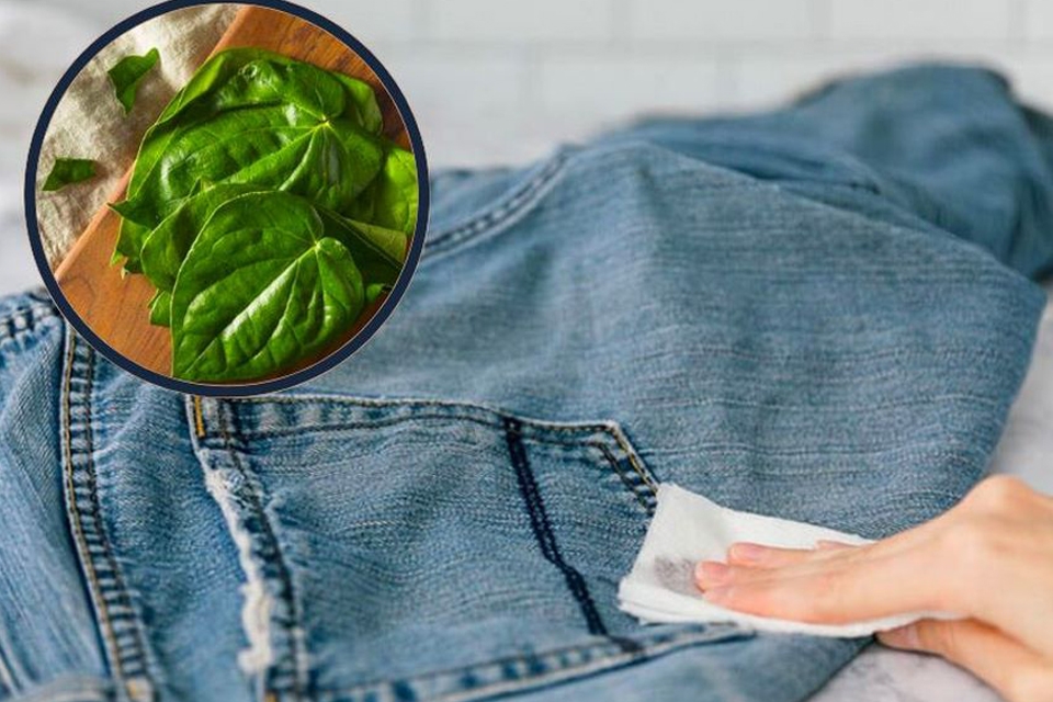 Giặt quần jean bằng lá trầu không.