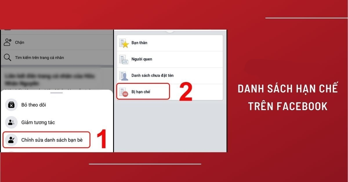 danh sách bị hạn chế trên Facebook - hình 1