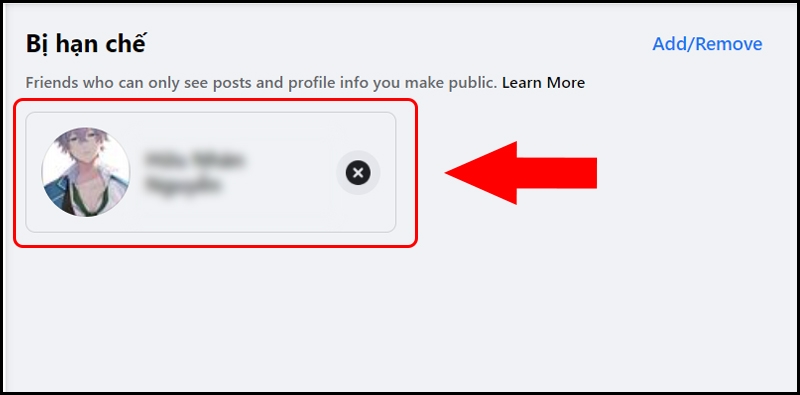 danh sách bị hạn chế trên Facebook - hình 14