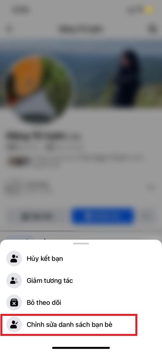 danh sách bị hạn chế trên Facebook - hình 5