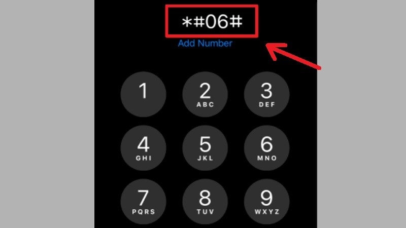 Cách kiểm tra iPhone 13 Pro Max (ảnh 4)
