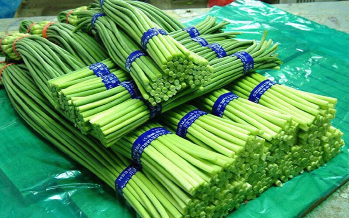 ngồng tỏi - hình 4