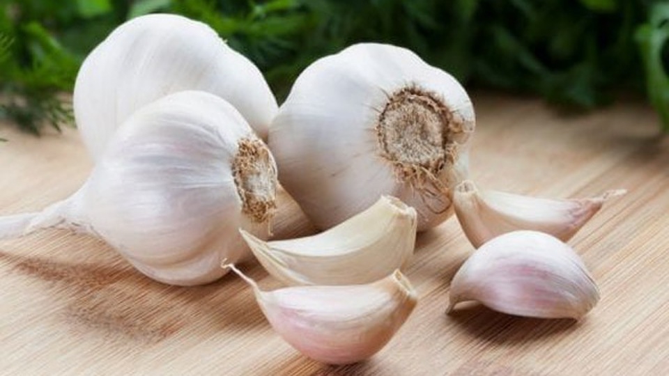 Tỏi đuổi ruồi