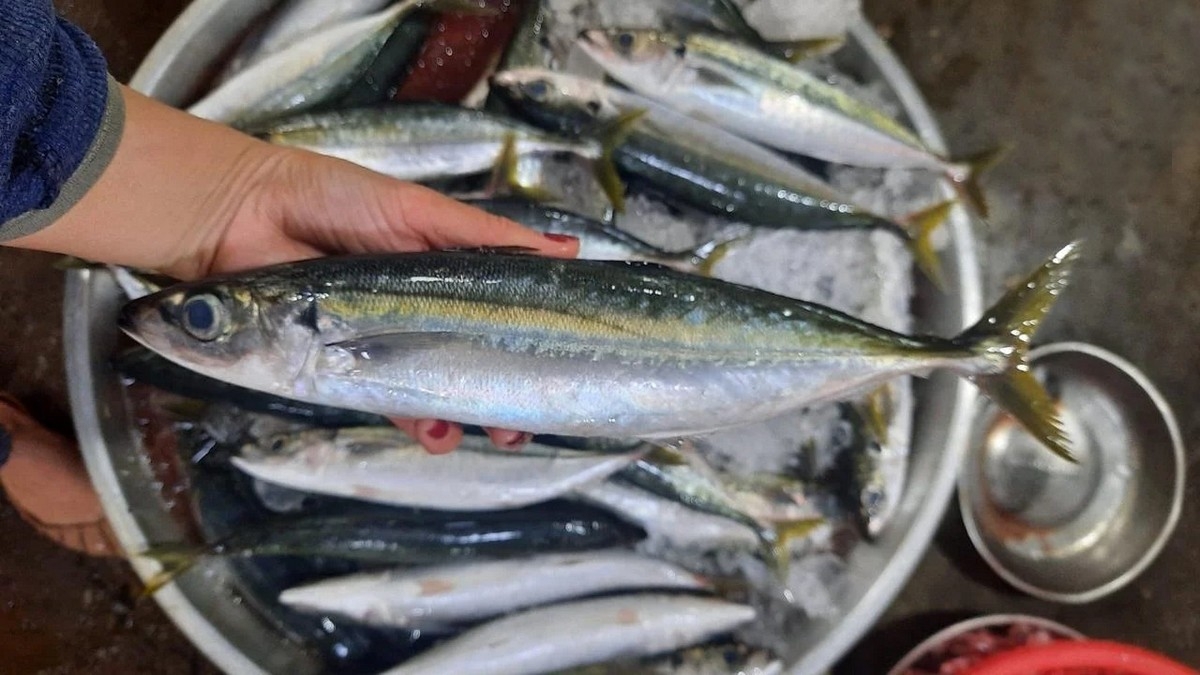 cá nục kho tiêu - hình 2