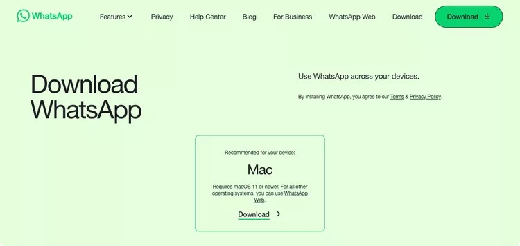 Bật mí cách tải WhatsApp cho máy tính - hình 13
