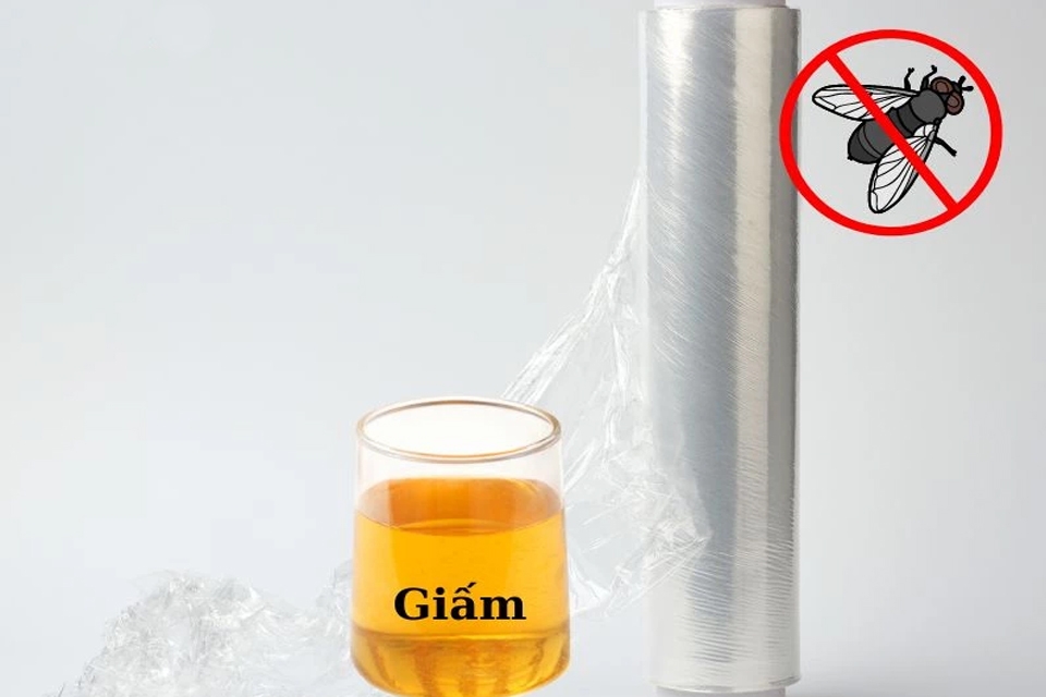 Cách diệt ruồi giấm bằng giấm táo.