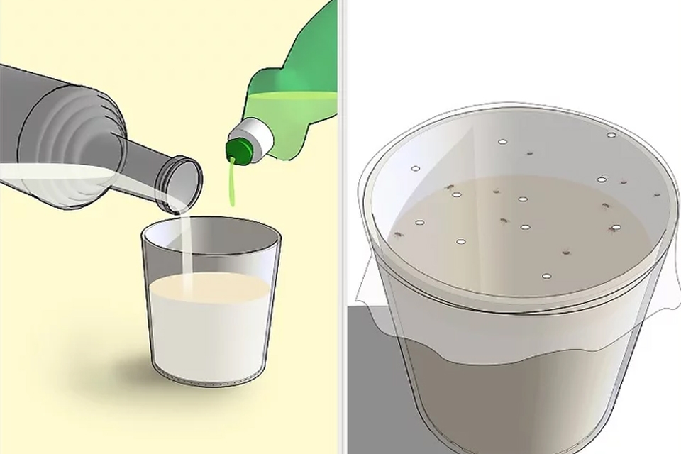 Cách diệt ruồi giấm bằng giấm trắng và nước rửa chén.