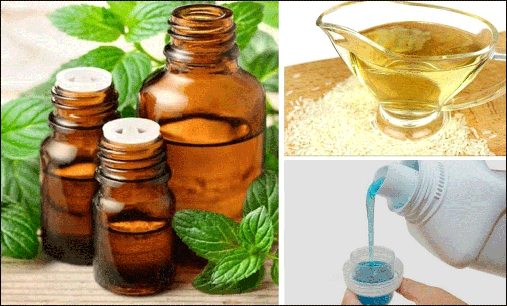 Đuổi kiến bằng giấm, nước xả vải và bạc hà