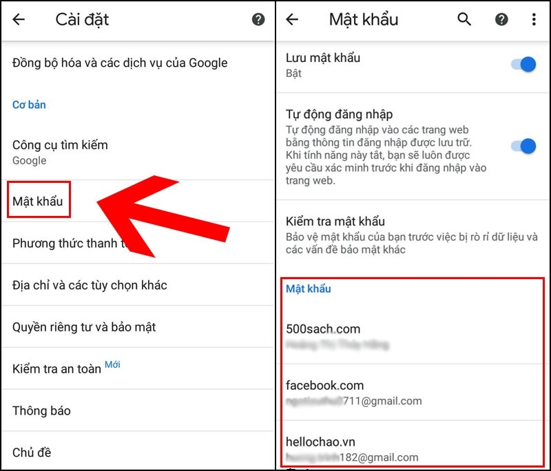 Một danh sách các mật khẩu đã lưu sẽ hiển thị trên điện thoại