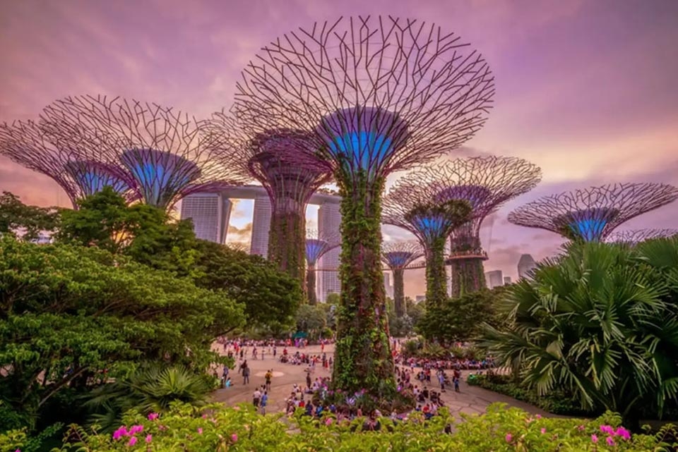 Gardens by the Bay