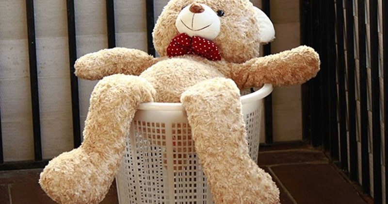 Cách giặt gấu bông lớn (ảnh 1)