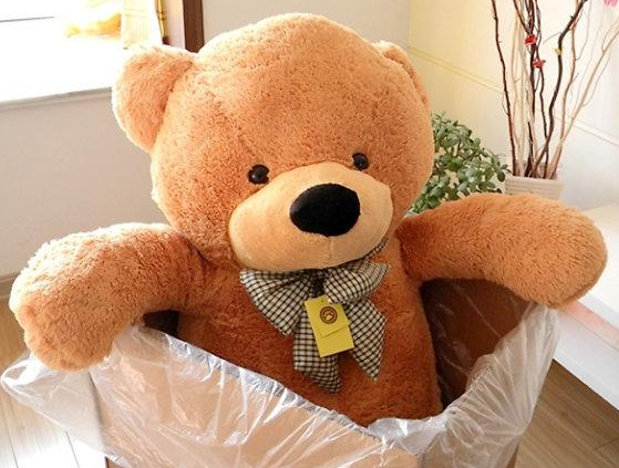 Cách giặt gấu bông lớn (ảnh 6)