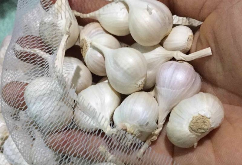 cách bảo quản hành tỏi khô - Ảnh 2