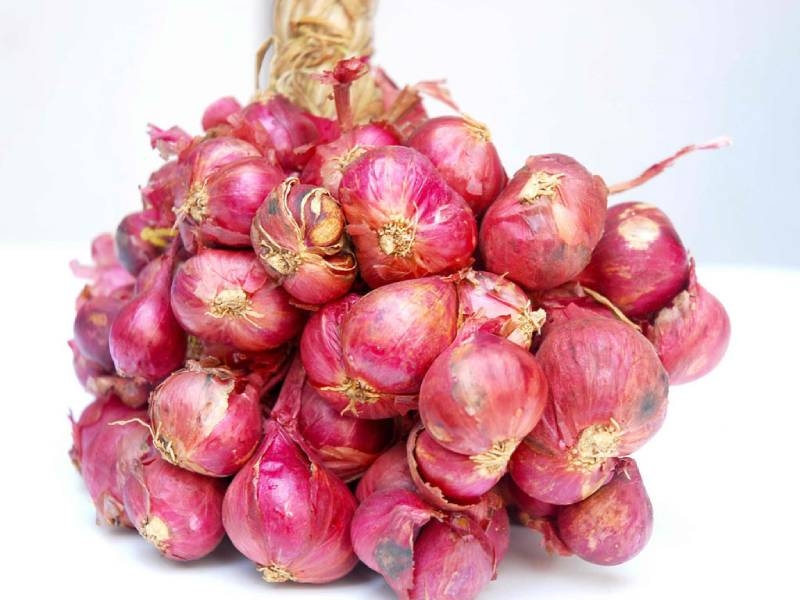 cách bảo quản hành tỏi khô - Ảnh 3