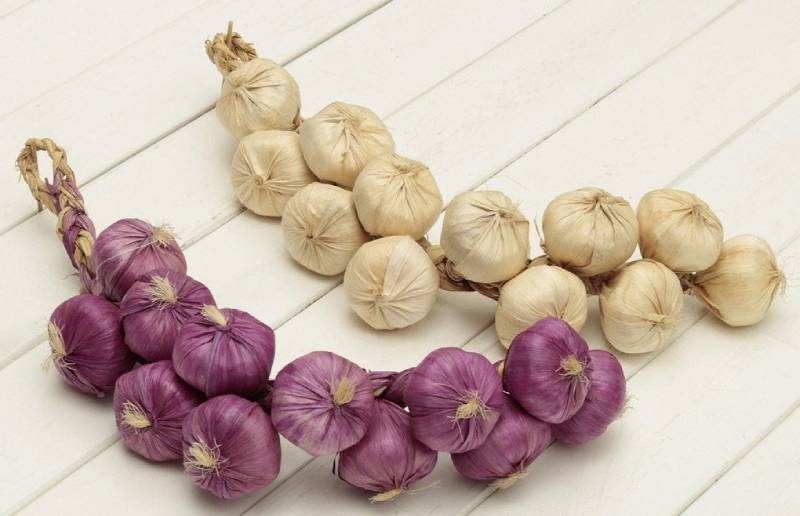cách bảo quản hành tỏi khô - Ảnh 6