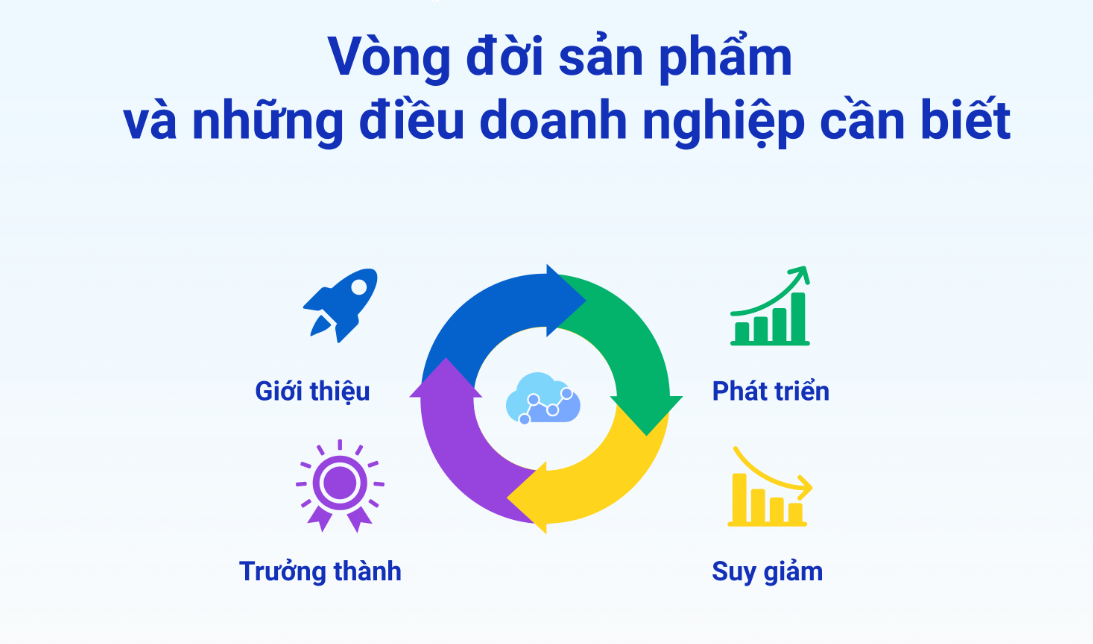PLM ảnh 6
