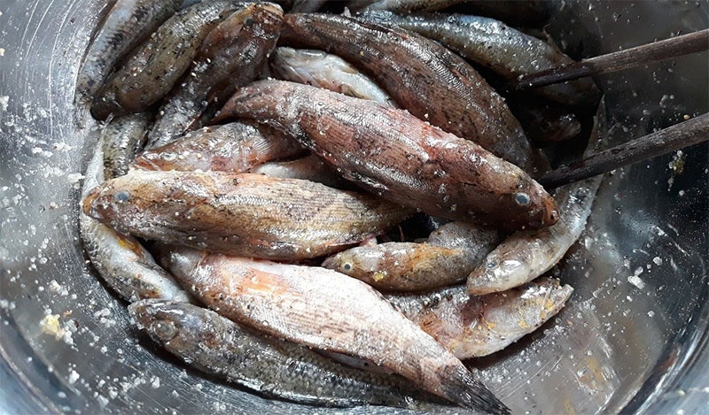 Sơ chế cá bống dừa
