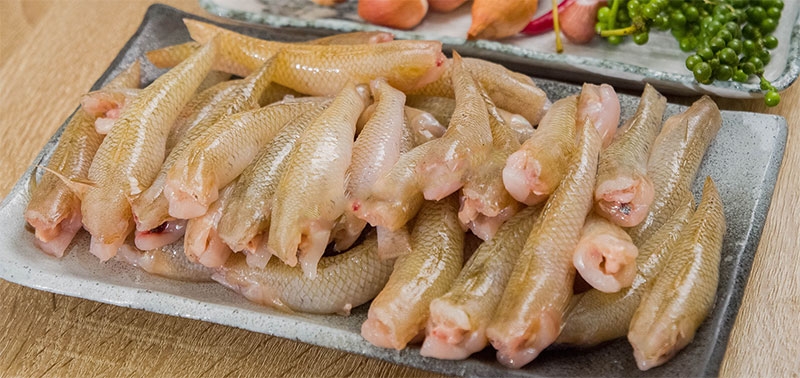 Cá bống dừa hình 4