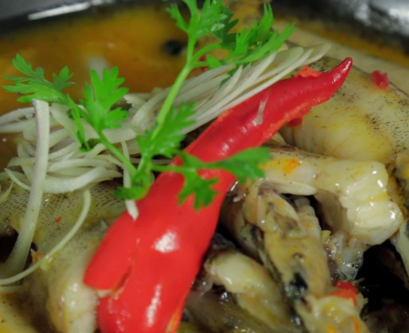 Cá bống dừa hình 5