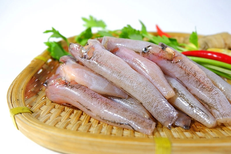 Cá bống dừa hình 6