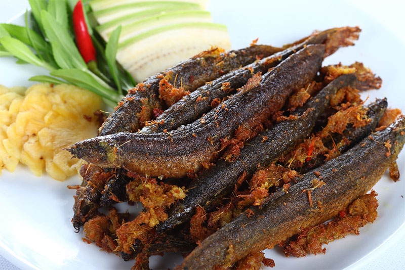 Cá chạch đồng hình 2