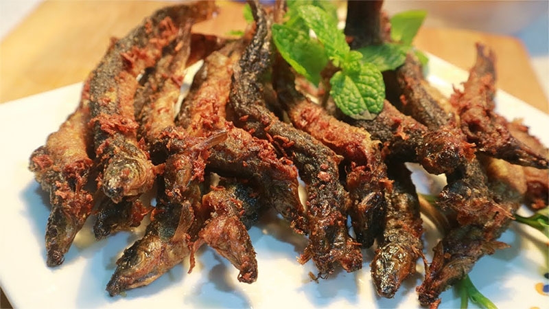 Cá chạch đồng hình 7