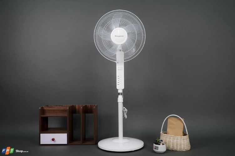 Quạt cây đứng tốt nhất 2024 (ảnh 1)