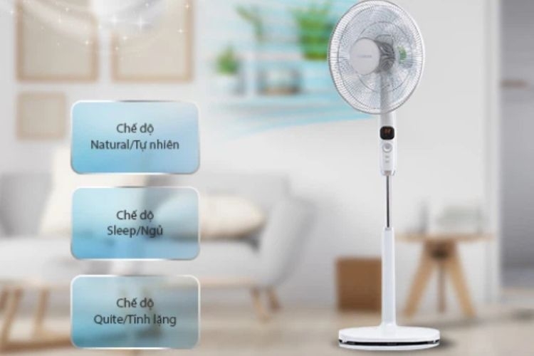 Quạt cây đứng tốt nhất 2024 (ảnh 7)