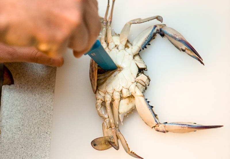 cách giữ cua sống lâu trong tủ lạnh - hình 3