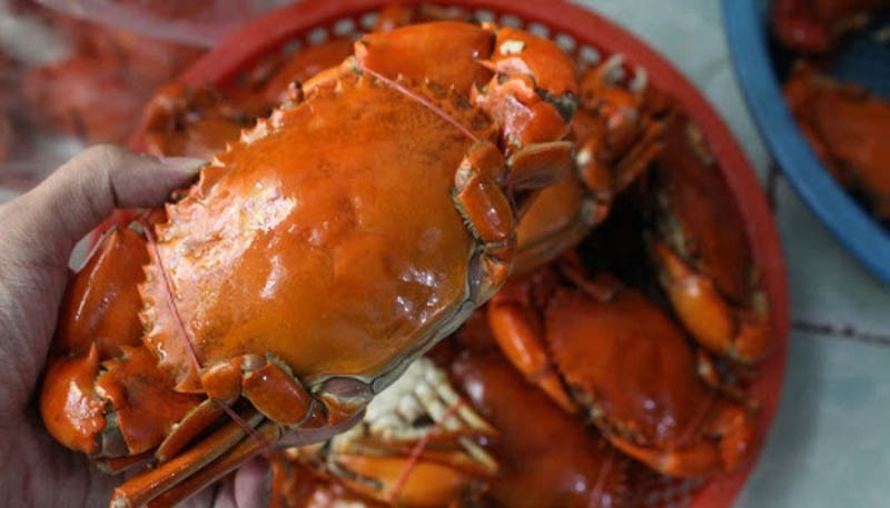 cách giữ cua sống lâu trong tủ lạnh - hình 5