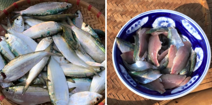 gỏi cá trích - ảnh 2