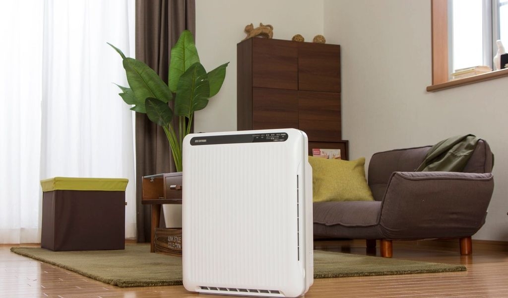 Máy lọc không khí khử mùi tốt nhất 2024 bạn nên biết để bảo vệ sức khỏe hô hấp 3