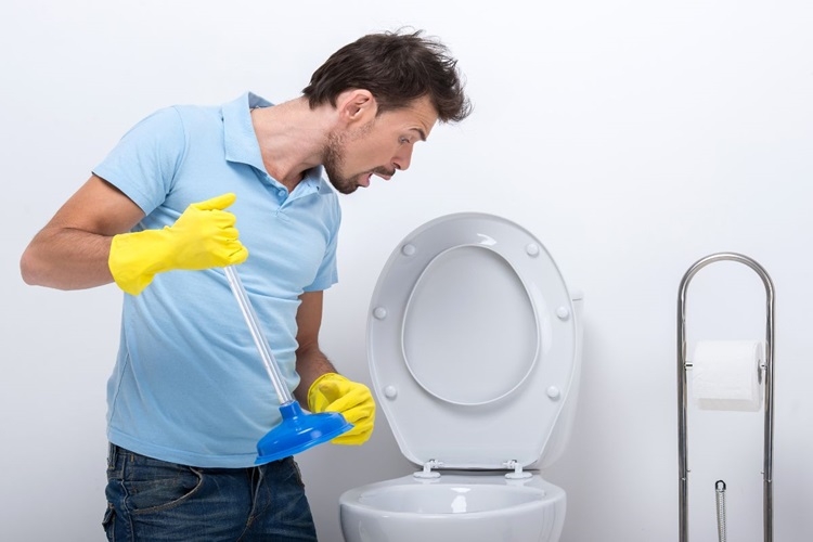 Cách thông bồn cầu bị tắc vật cứng nhanh chóng và dễ thực hiện ngay tại nhà - Hình 4