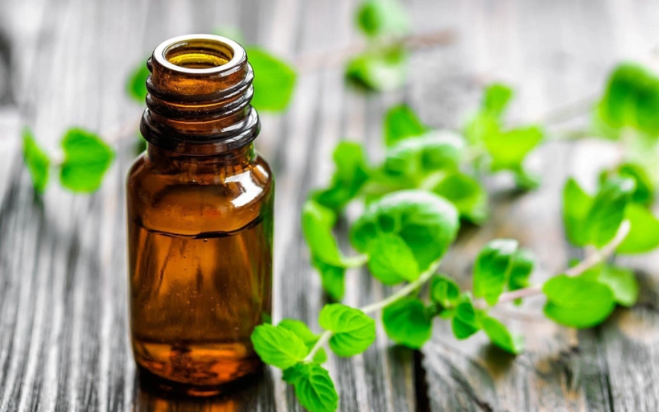 Diệt muỗi bằng tinh dầu